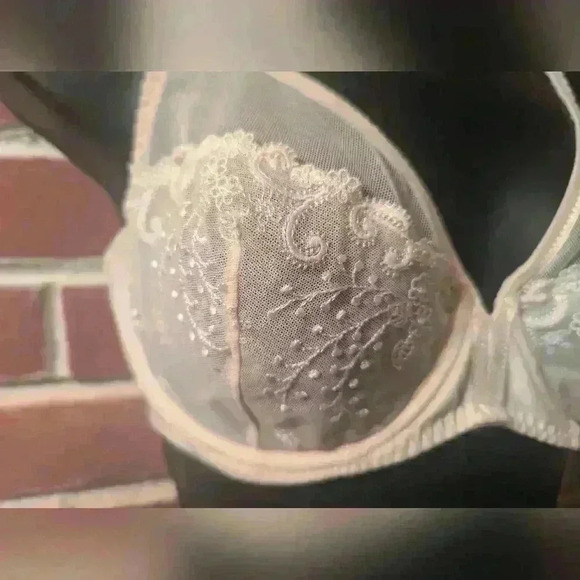 Simone Perele Delice Bra. Size: 32E. Nude. Barely Worn. - Picture 4 of 7